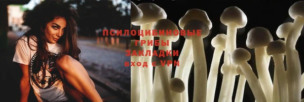 эйфоретик Алзамай