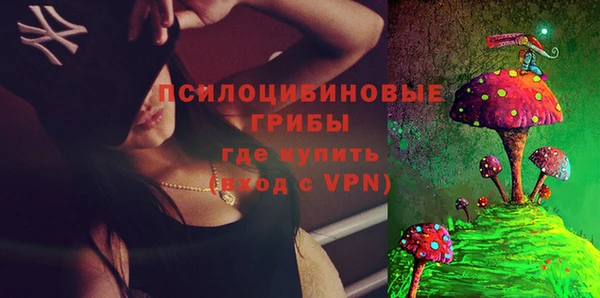 эйфоретик Алзамай