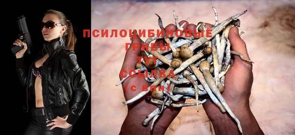 эйфоретик Алзамай