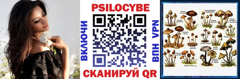 мега ТОР  где продают наркотики  дарк нет наркотические препараты  Псилоцибиновые грибы мухоморы  Чишмы 